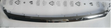 2019 RX low grille molding